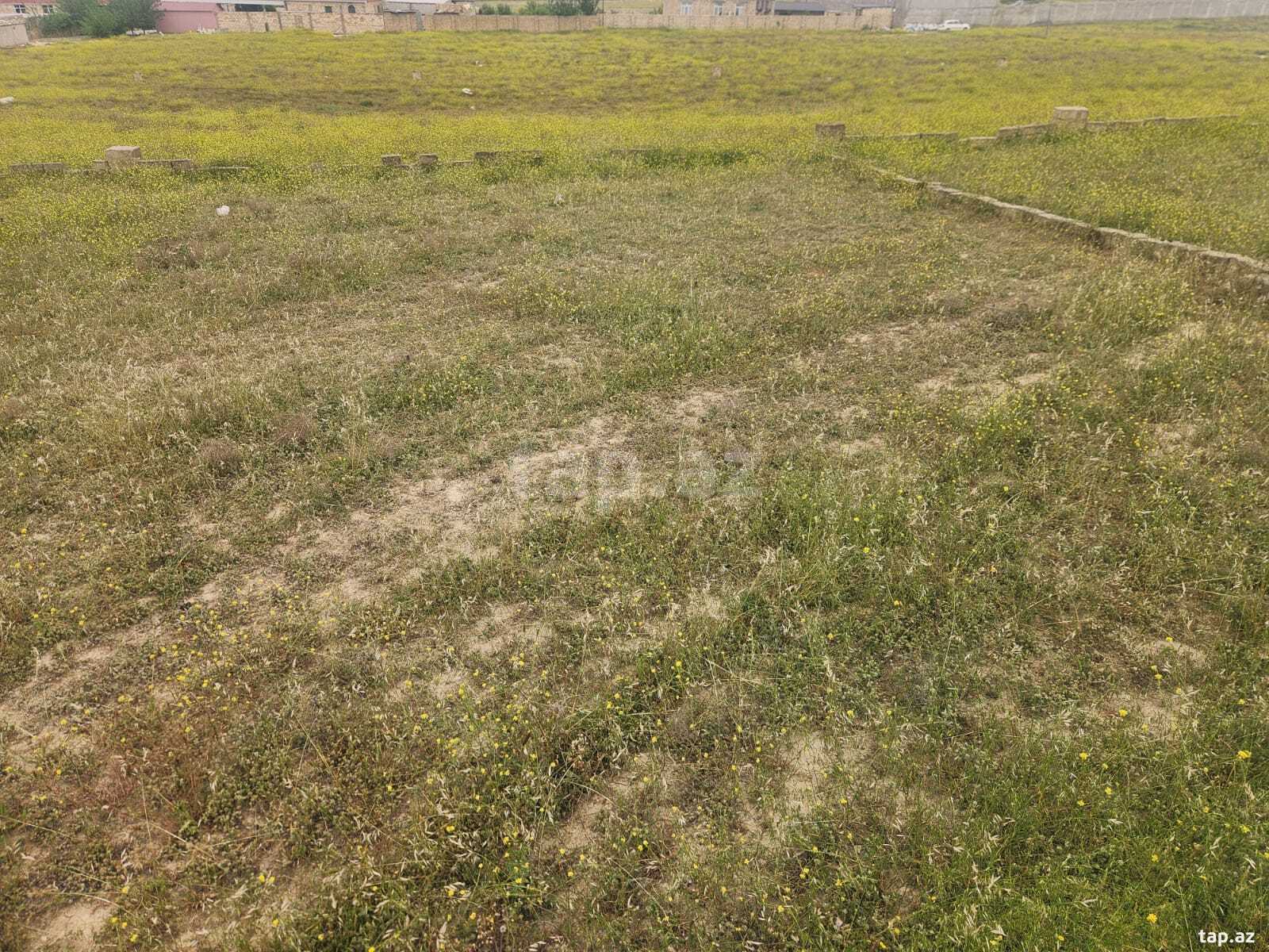 12 sot torpaq sahəsi, Masazır qəs. (3)