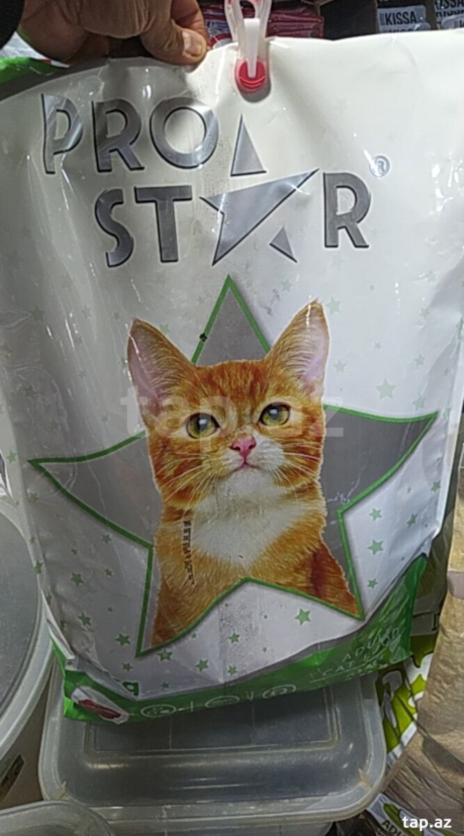 Pişik yemləri