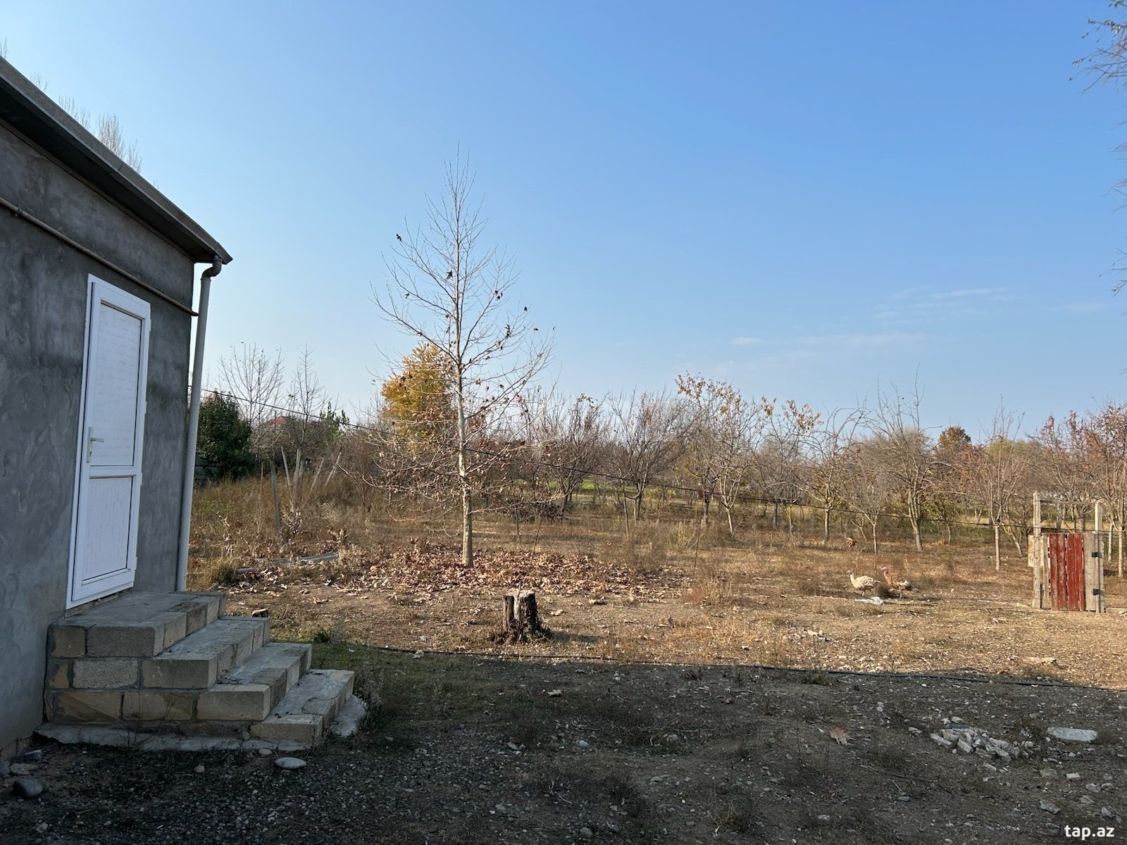 Həyət evi, Beyləqan r.