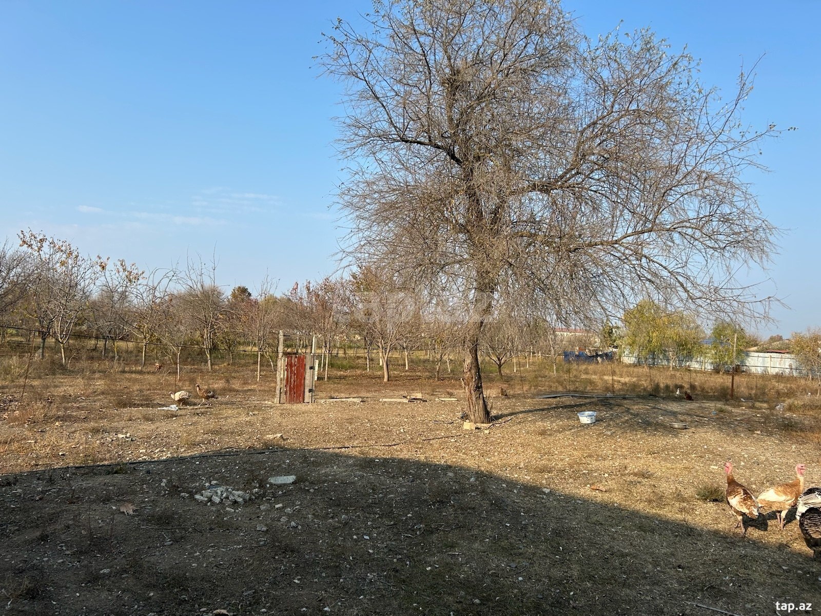 Həyət evi, Beyləqan r.