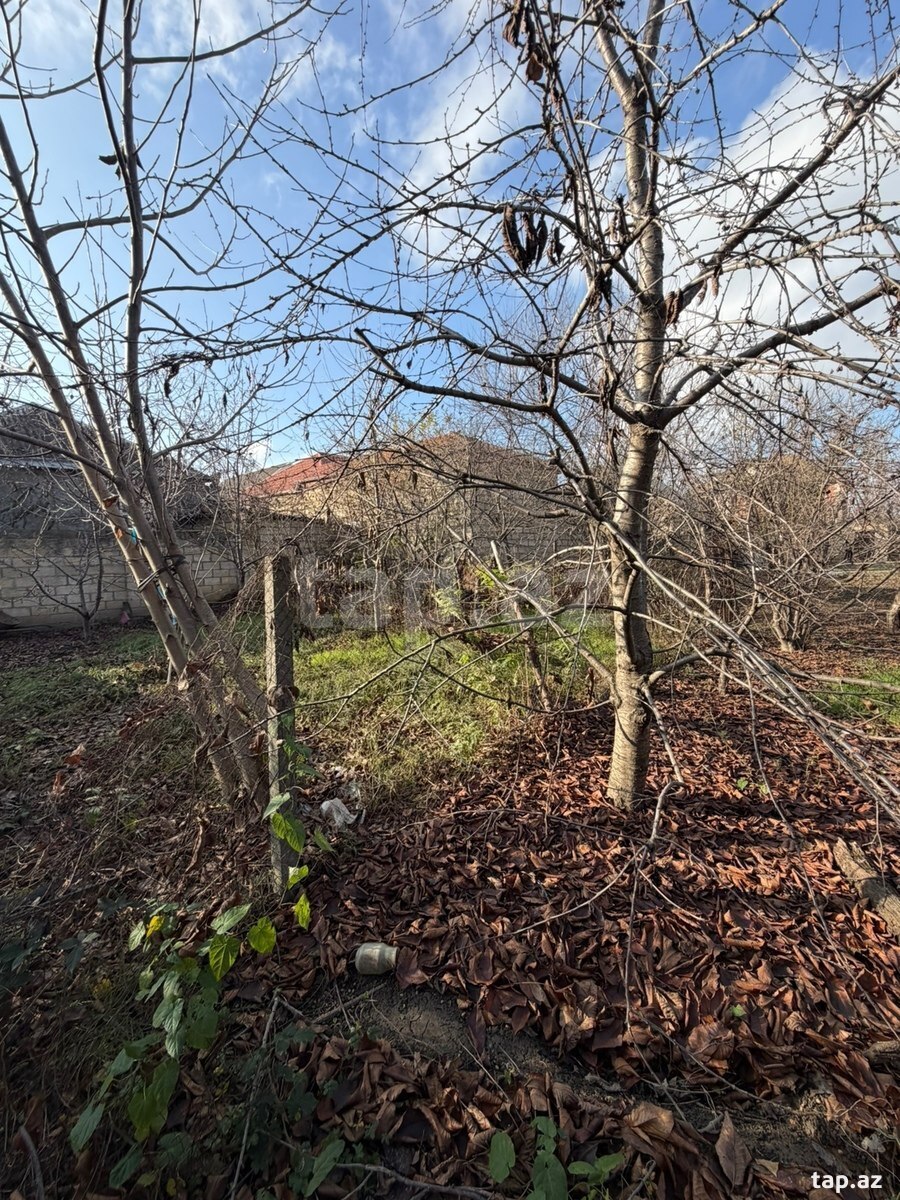 3 sot torpaq sahəsi, Qusar r. (8)