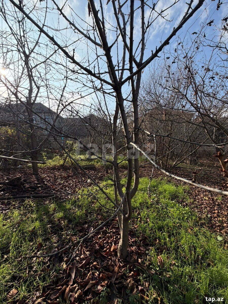 3 sot torpaq sahəsi, Qusar r. (5)