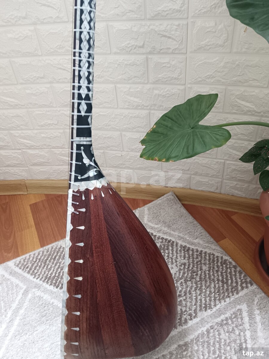 Sədəfli saz  (2)