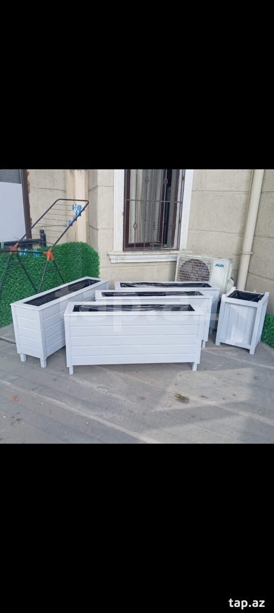 Gül dibçəkləri  (14)