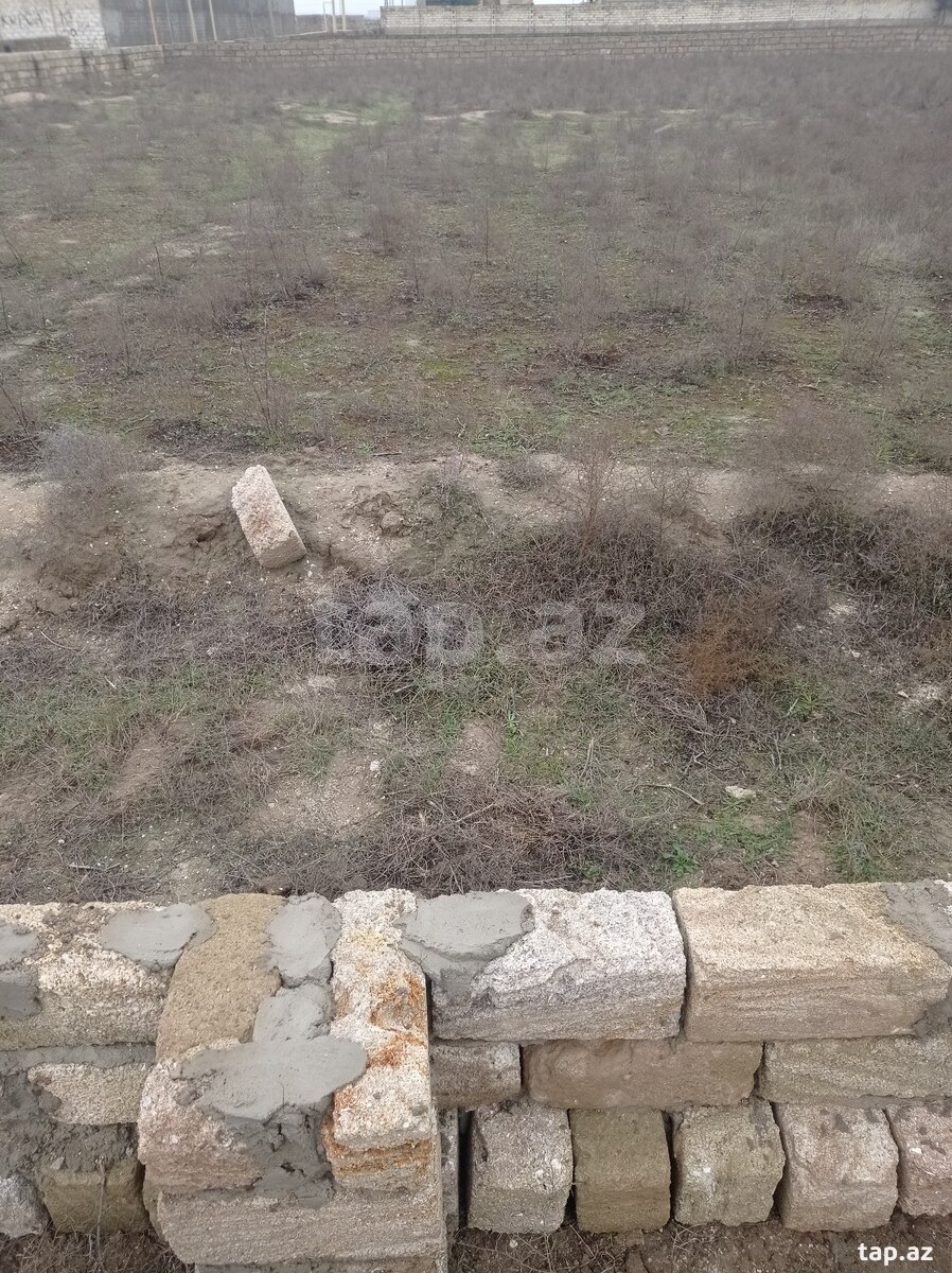 2 sot torpaq sahəsi, Binə qəs.
