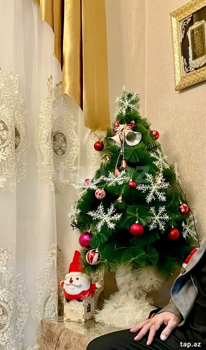 Yeni il ağacı (2)