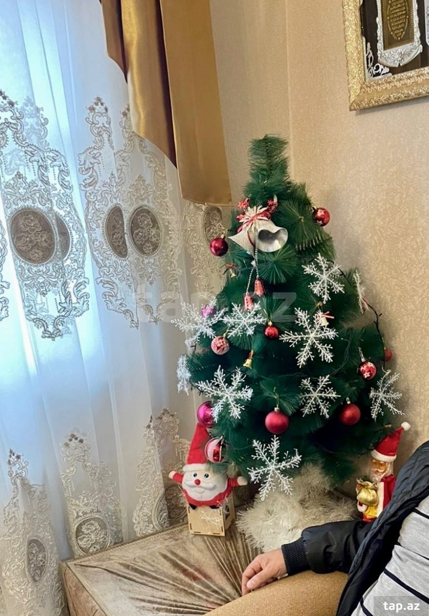 Yeni il ağacı (4)