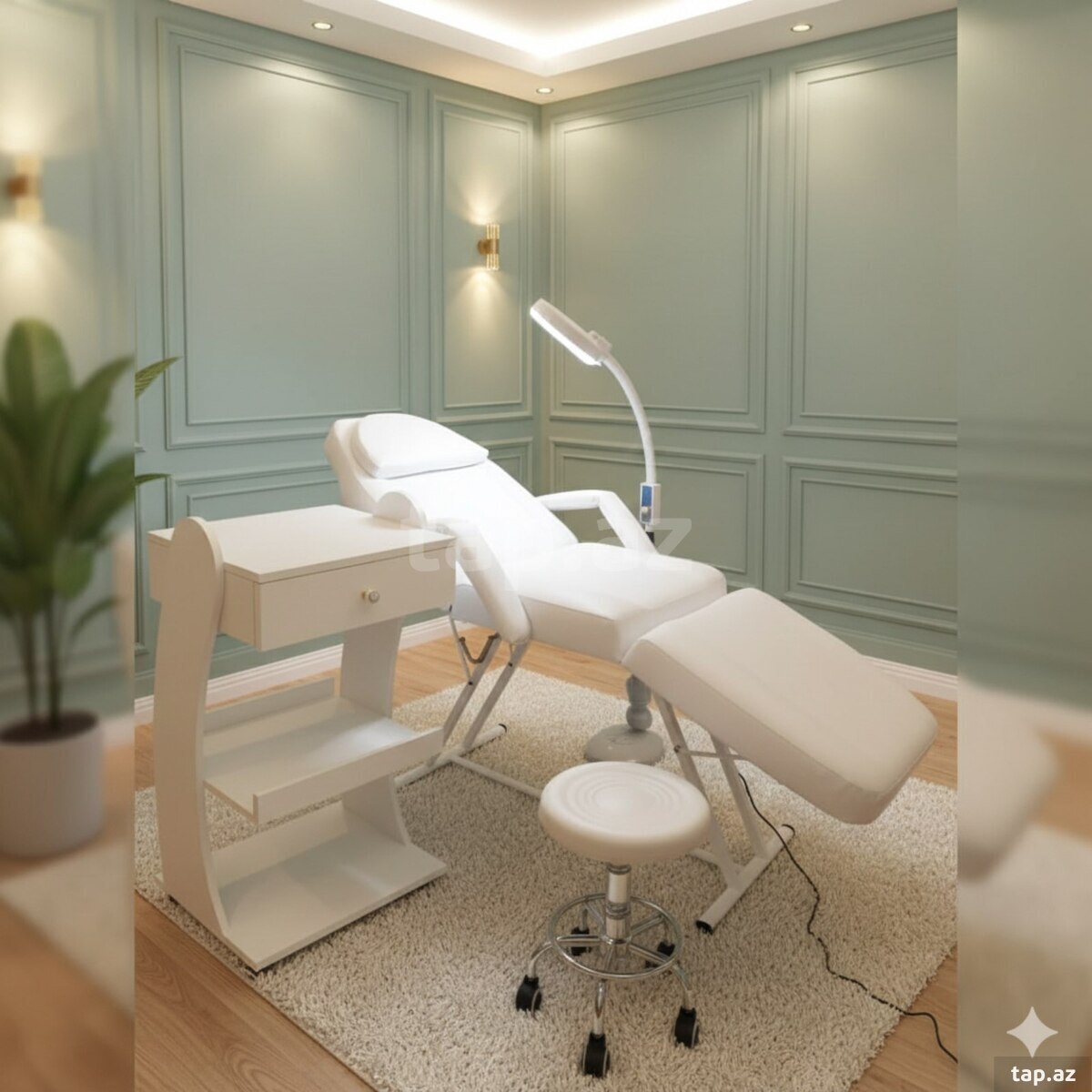 Salon kreslosu