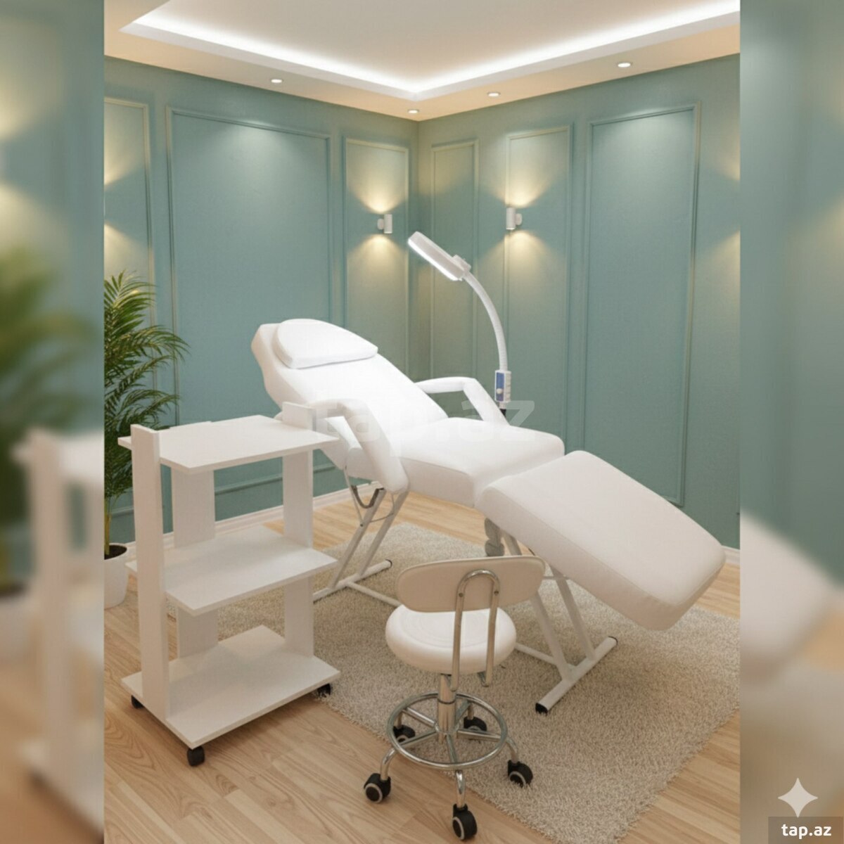 Salon kreslosu (2)