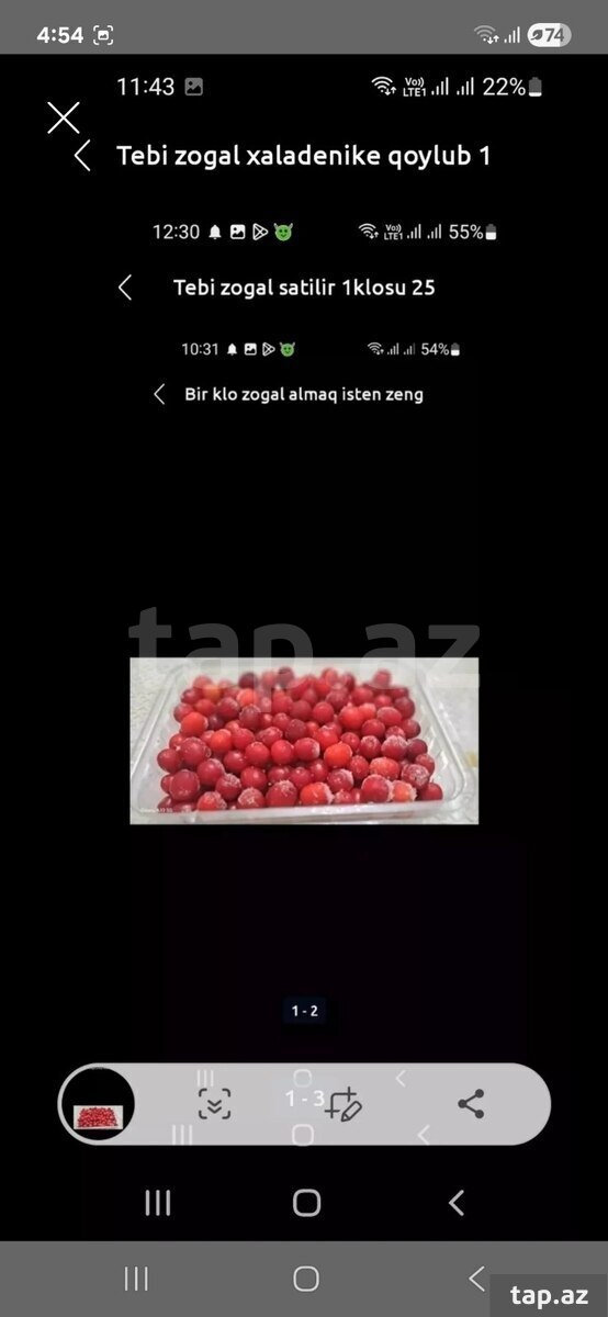 Zoğal