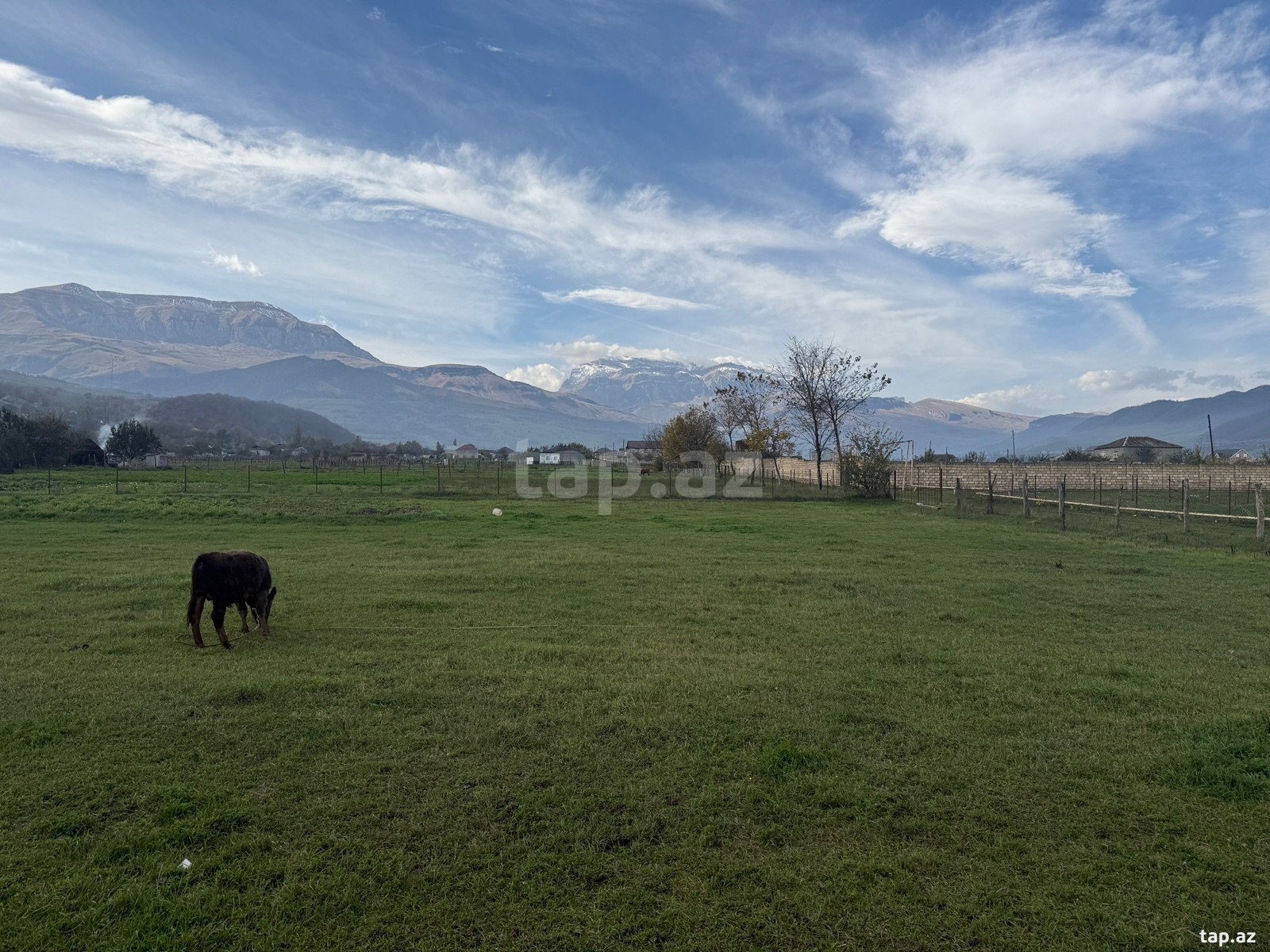 7 sot torpaq sahəsi, Qusar r. (5)