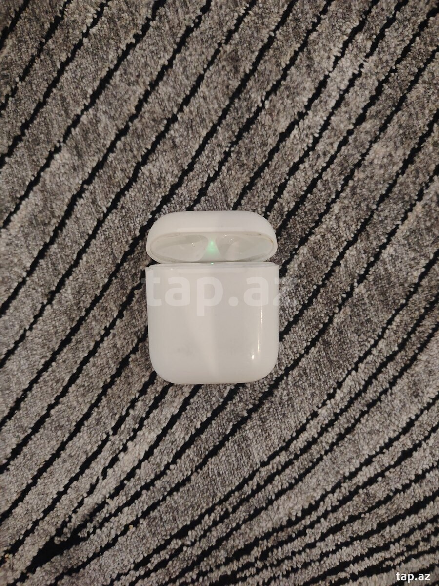 AirPods 2 case (2)