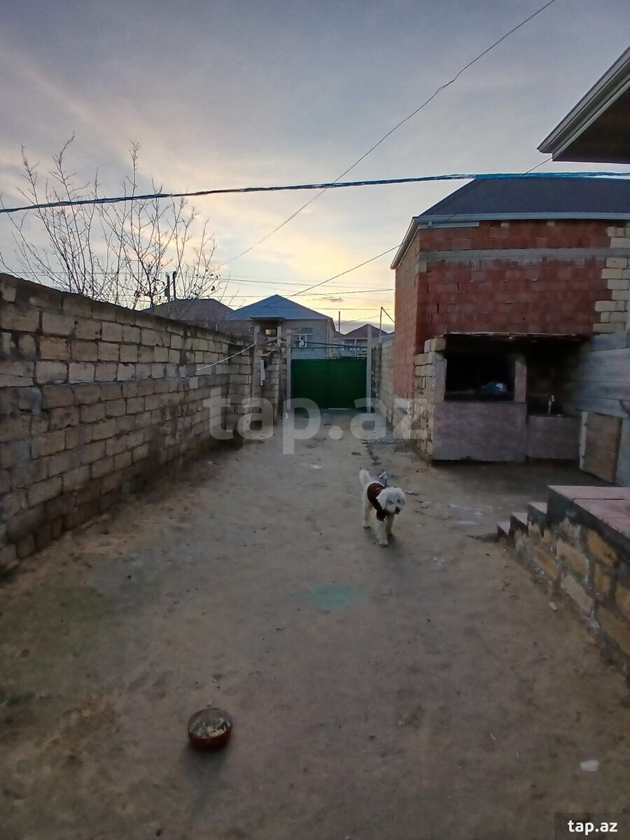 Həyət evi, Masazır qəs. (6)