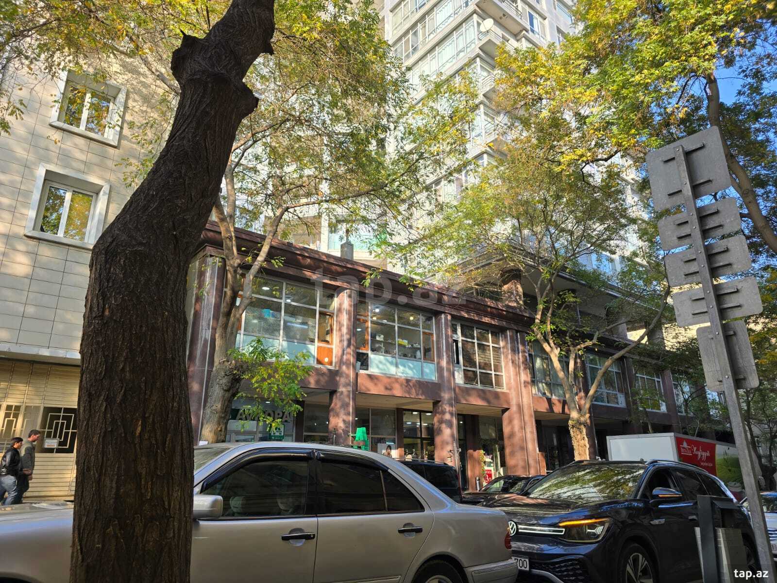 4-otaqlı yeni tikili kirayə verilir, Azərbaycan pr., 250 m² (19)