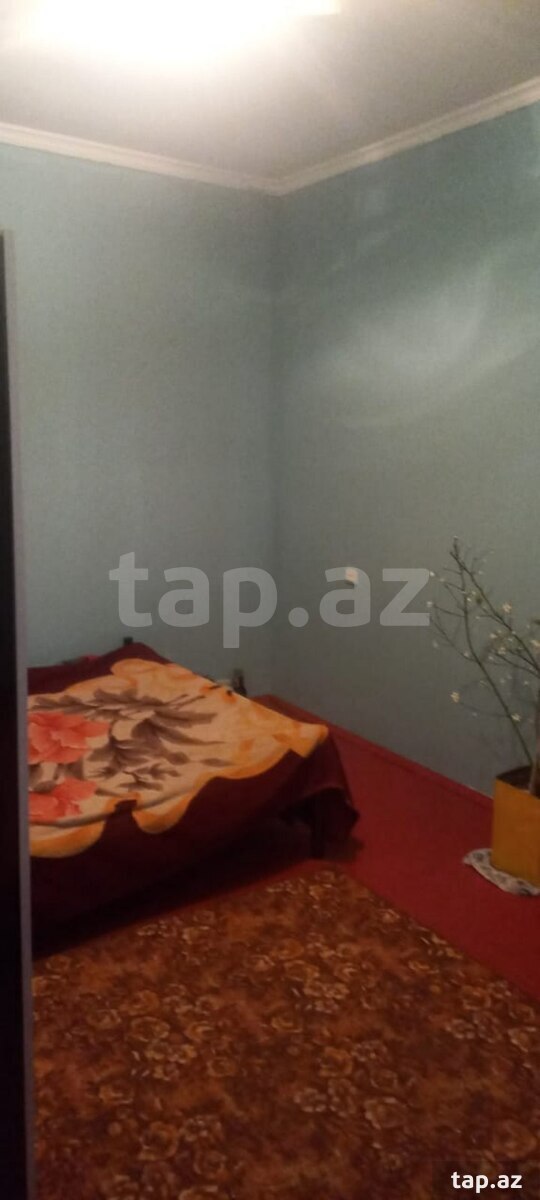 Həyət evi, Zabrat qəs. (11)