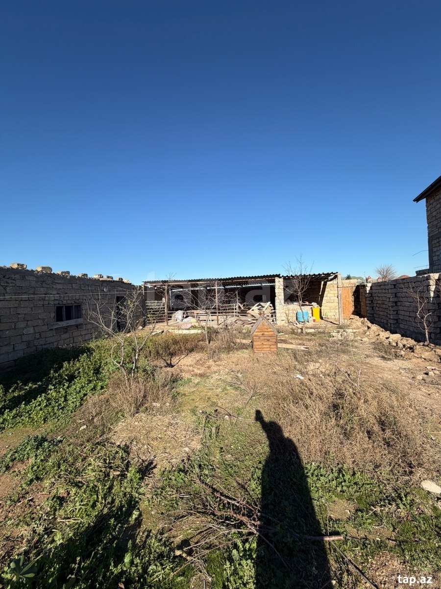 Torpaq satılır, Türkan, Bakı
