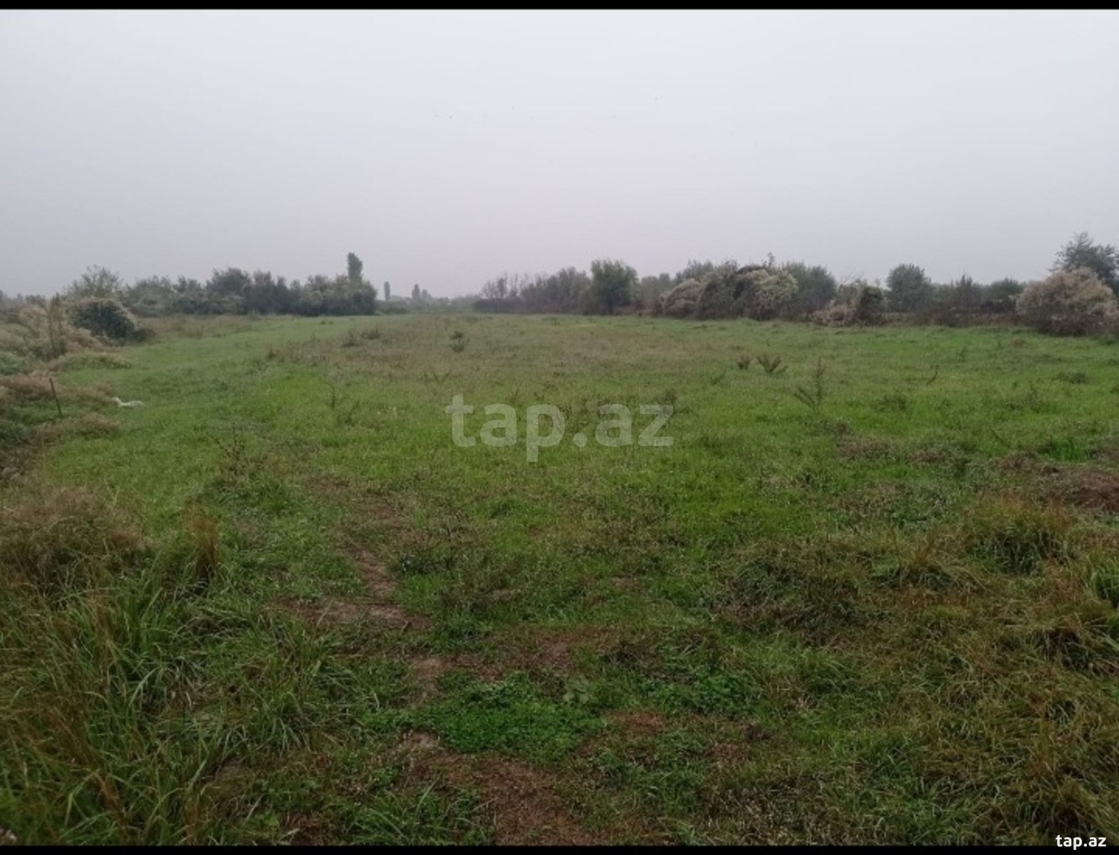 30 sot torpaq sahəsi, Xaçmaz r. (2)