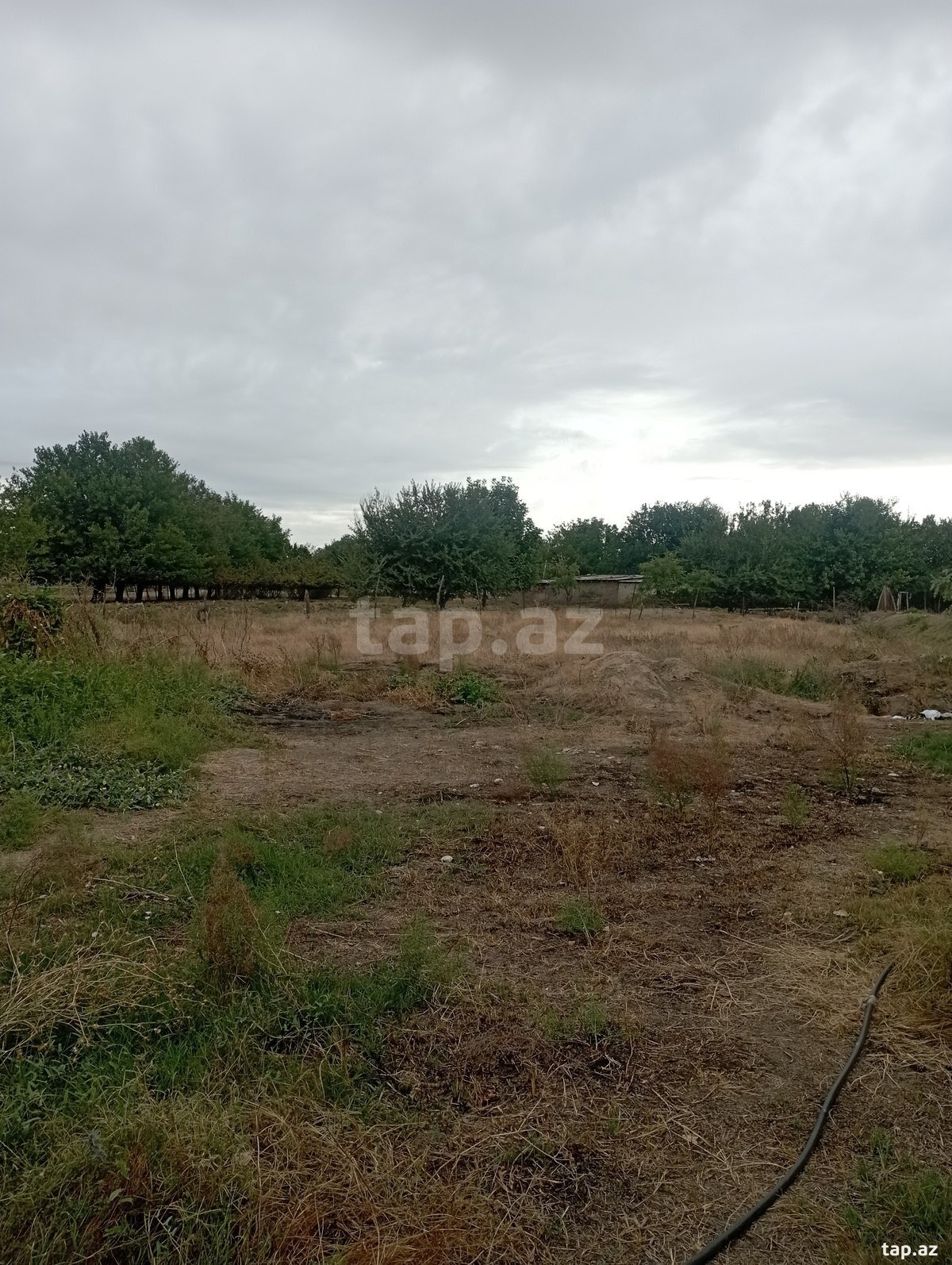 Həyət evi, Ağcabədi r. (15)