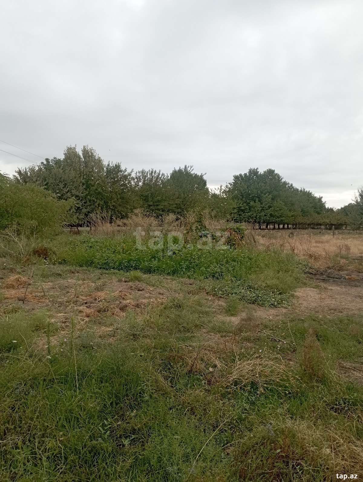 Həyət evi, Ağcabədi r. (17)