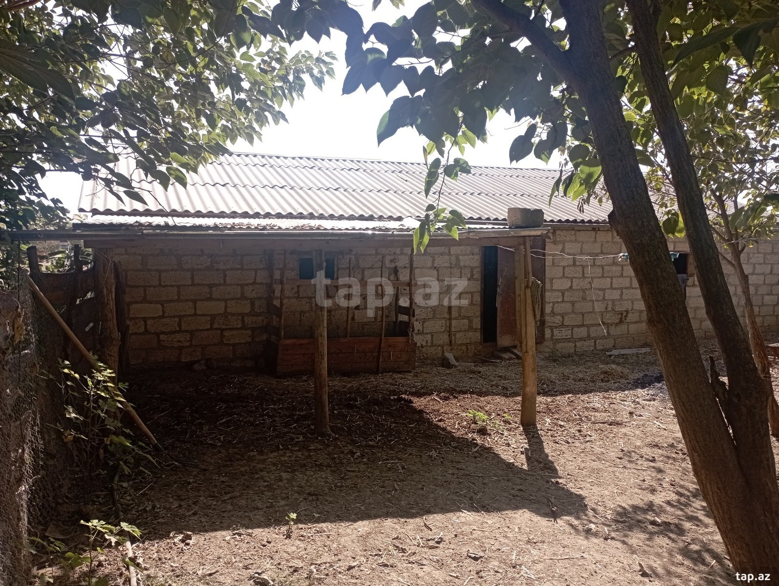 Həyət evi, Ağcabədi r. (14)