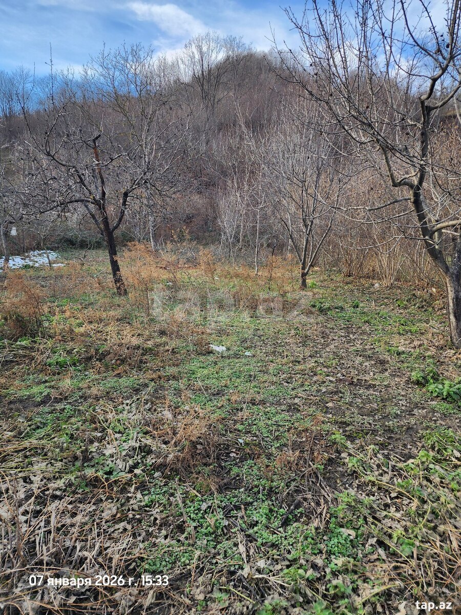 Torpaq satılır, Təngəaltı, Quba