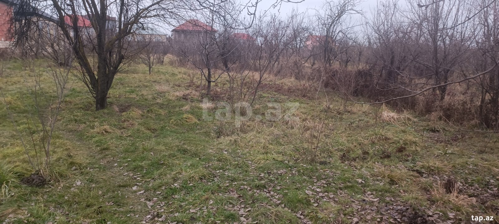 Land for sale, Guba