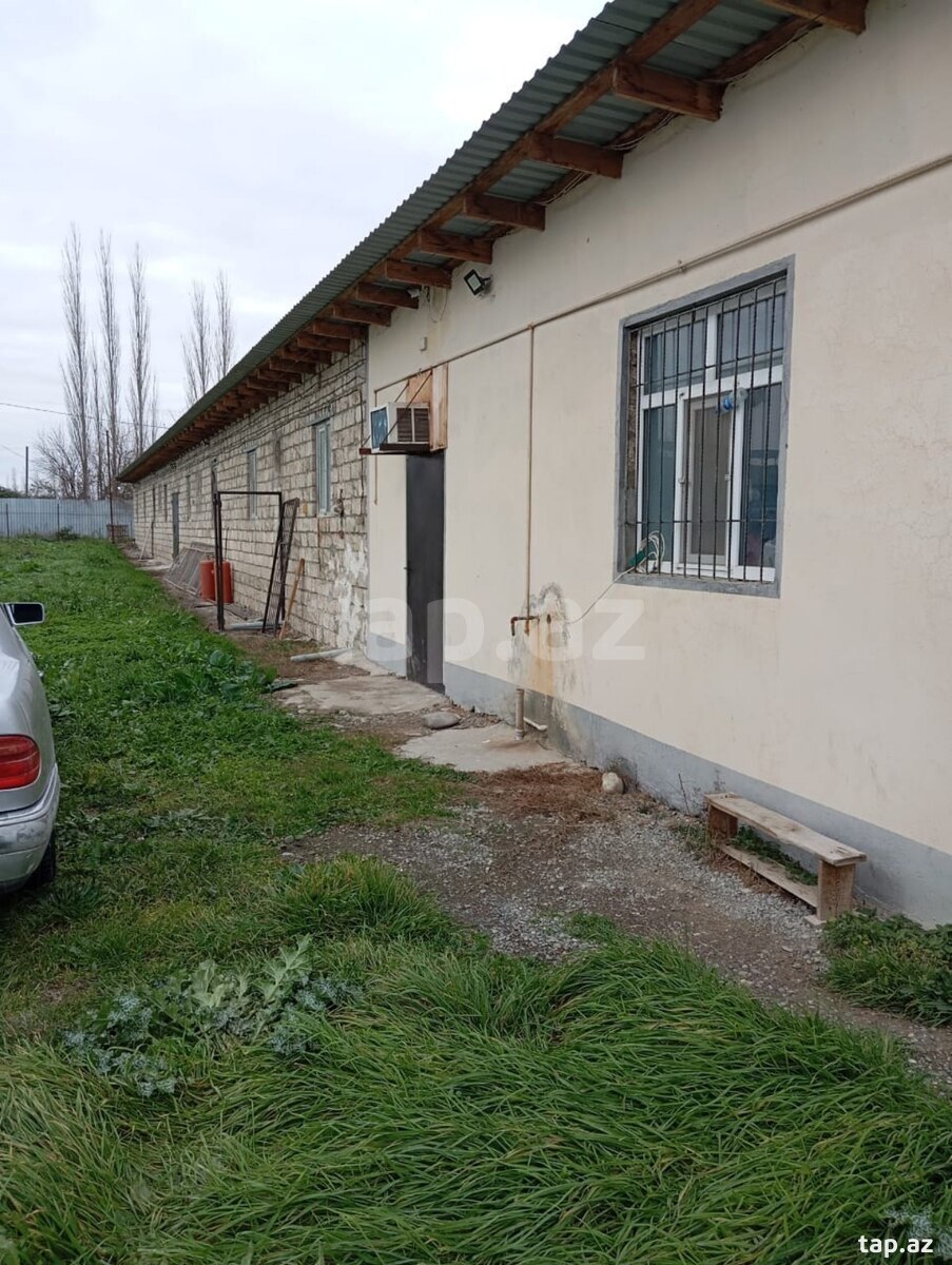 70 sot torpaq sahəsi, Xaçmaz r. (5)