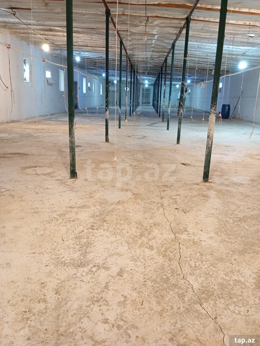 70 sot torpaq sahəsi, Xaçmaz r. (4)