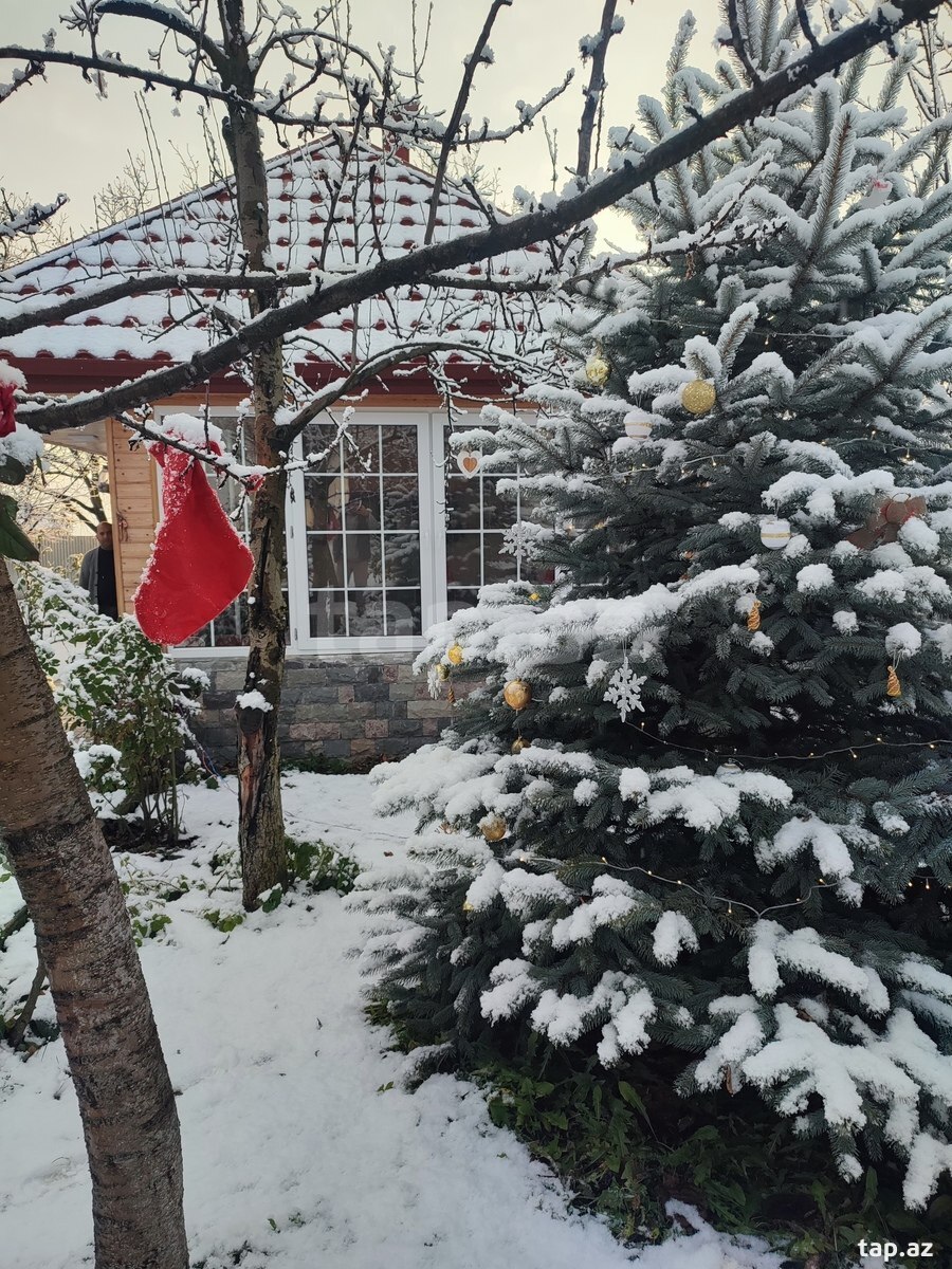 Villa kirayə verilir, İsmayıllı r. (29)