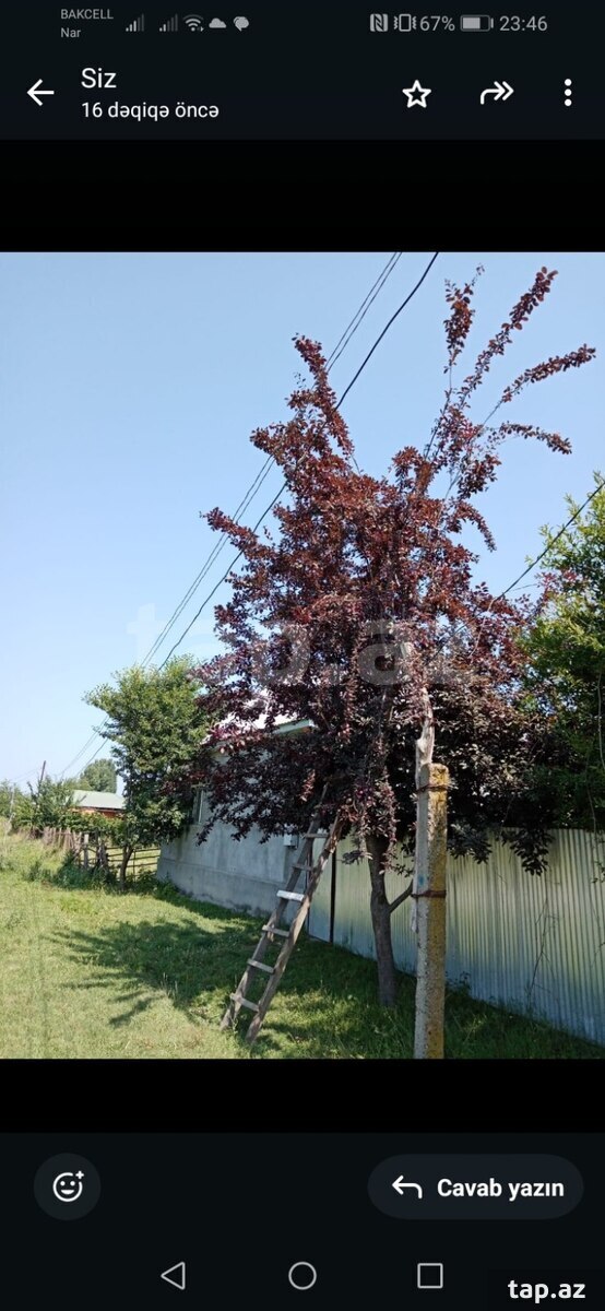 12 sot torpaq sahəsi, Qax r.