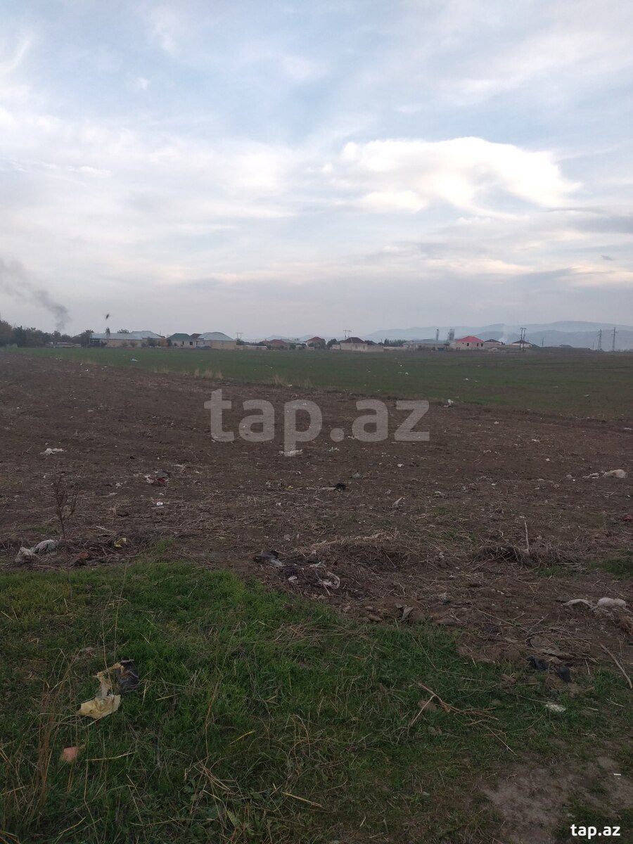 26 sot torpaq sahəsi, Tovuz r. (2)