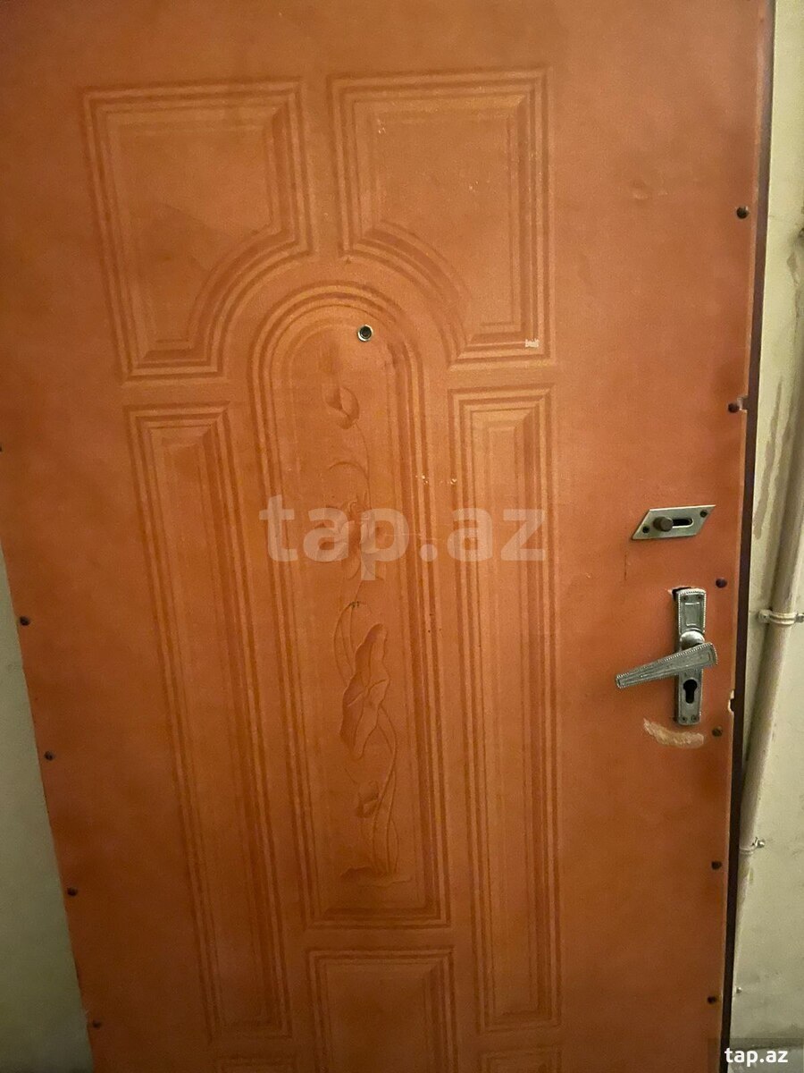 Dəmir qapı (27)