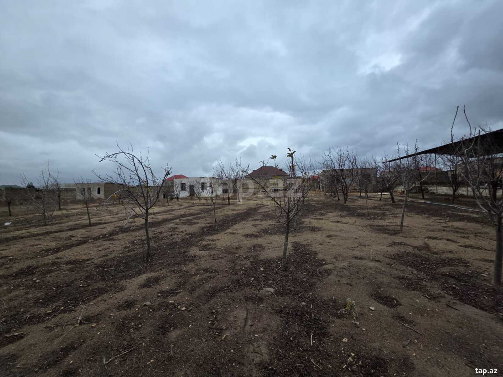 12 sot torpaq sahəsi, Qala qəs. (2)