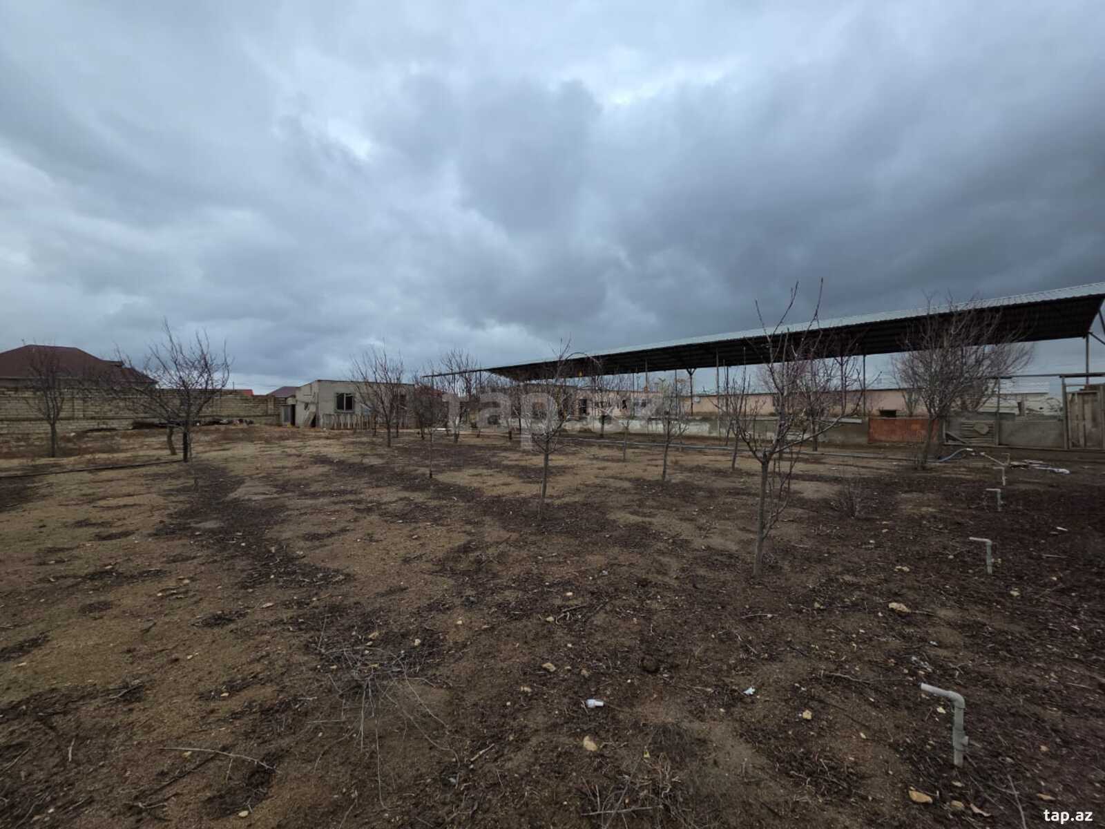12 sot torpaq sahəsi, Qala qəs. (3)