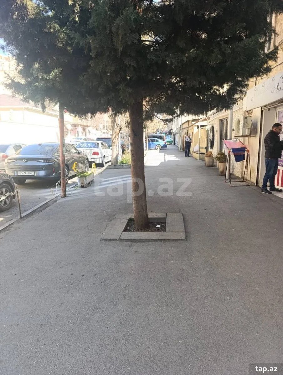 2-otaqlı mənzil kirayə verilir, Nəsimi r., 35 m² (2)