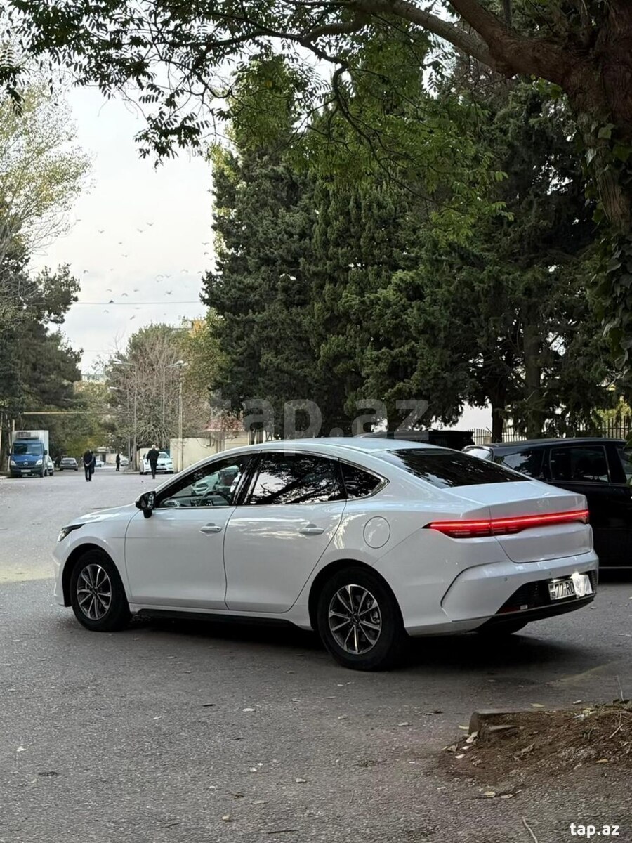 4-ci miniatür