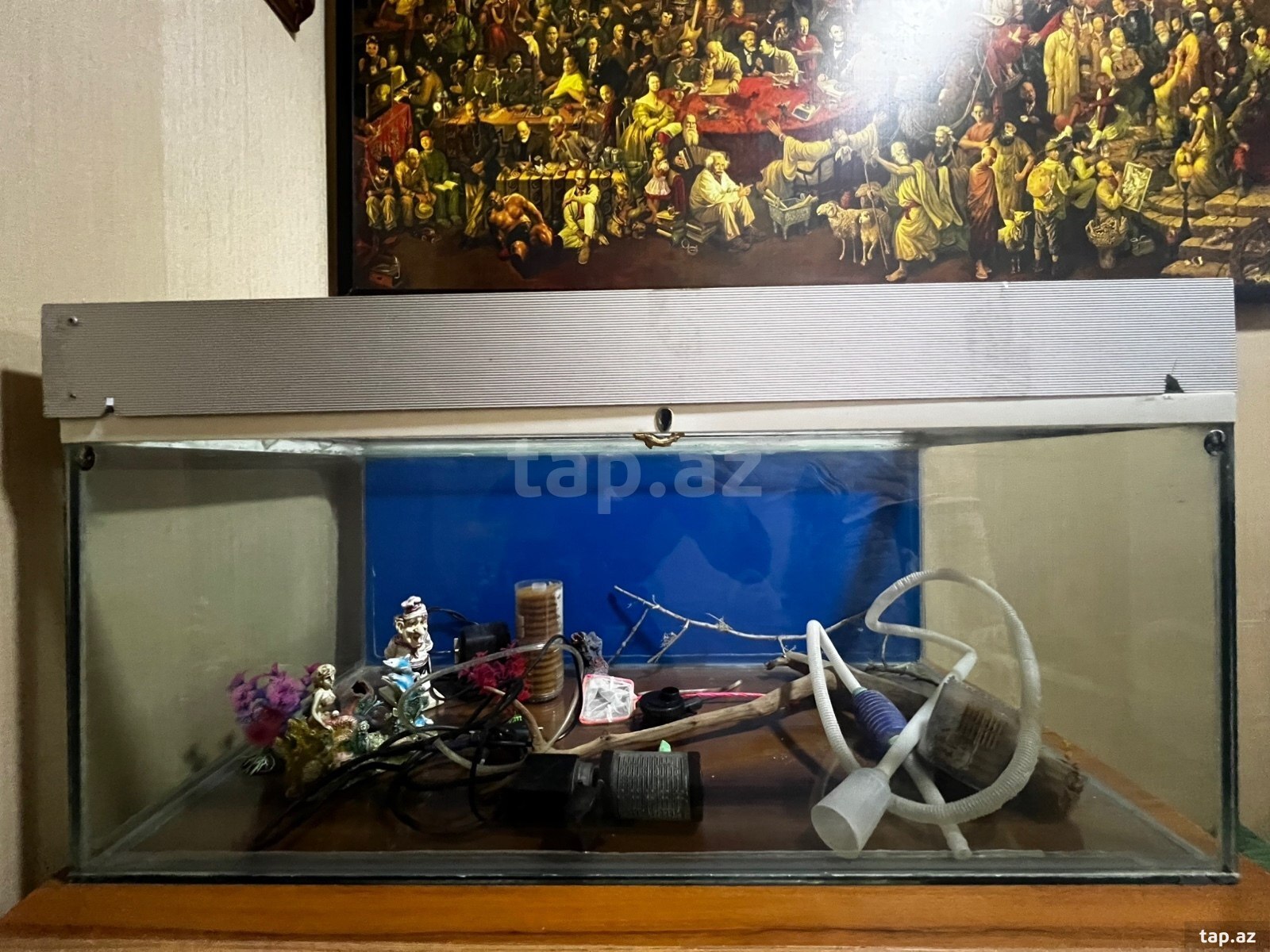 Akvarium (5)