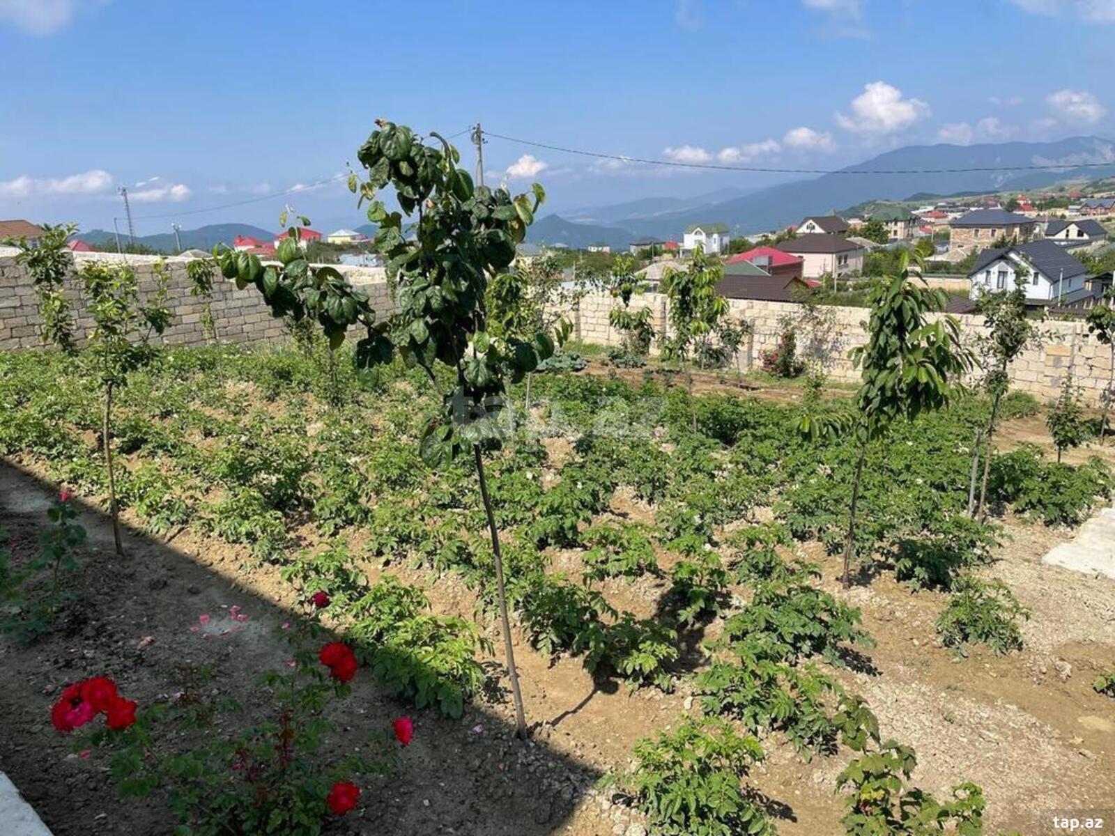 Həyət evi, Şamaxı r. (18)
