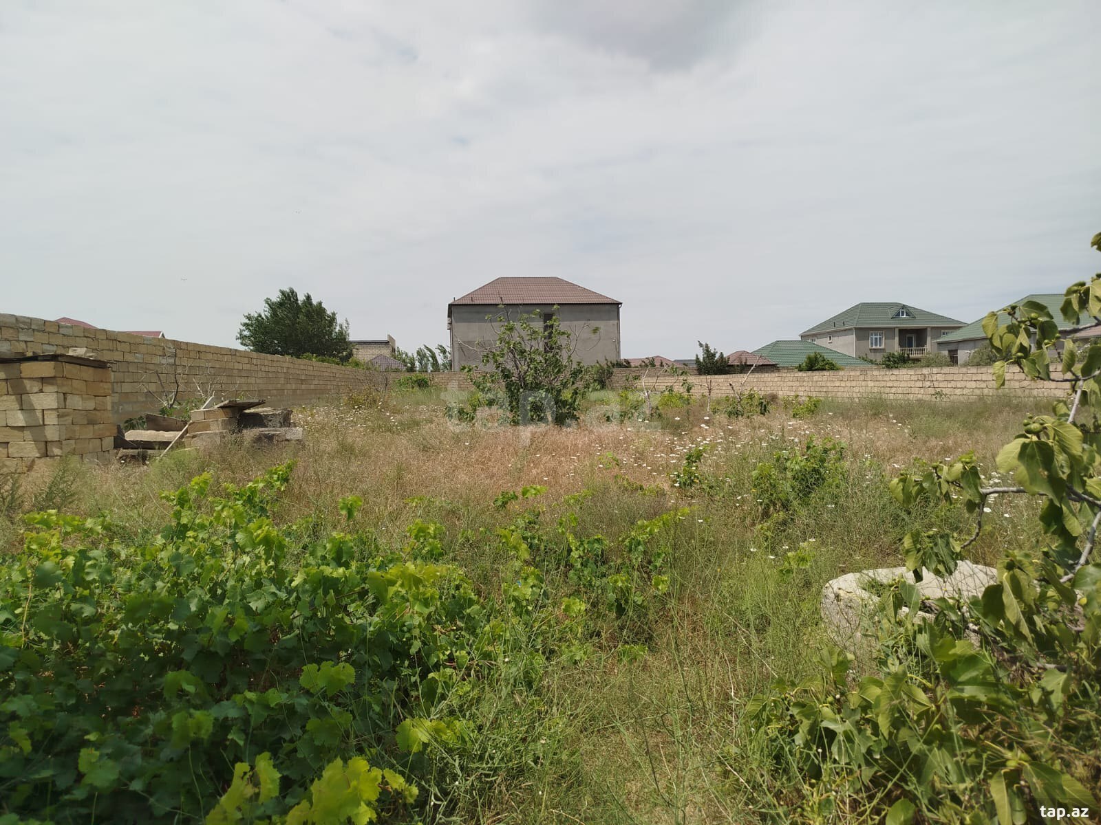 Həyət evi, Pirşağı qəs. (2)