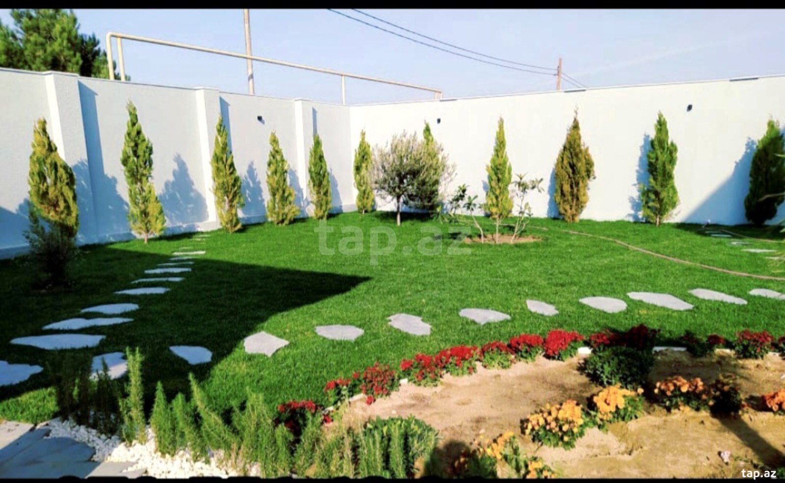 Təbii qazon (3)