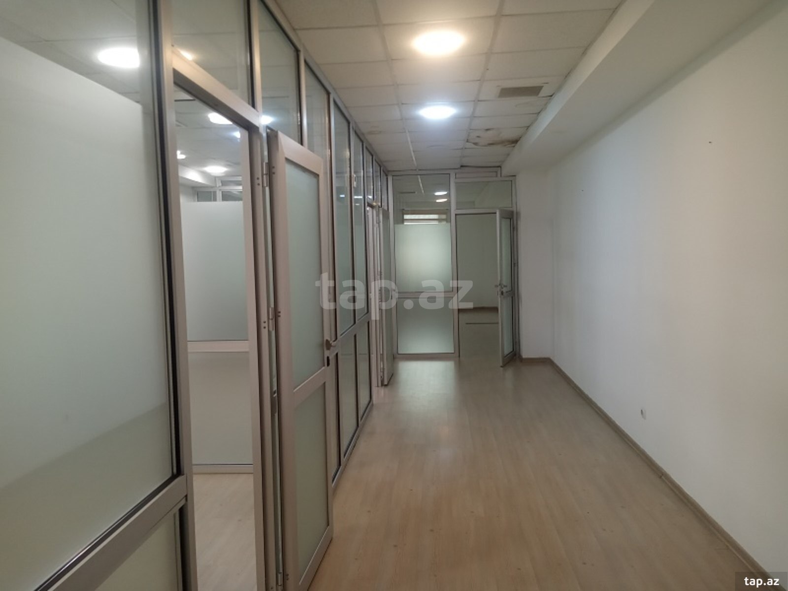 Ofis icarəyə verilir, Ə.Rəcəbli küç.