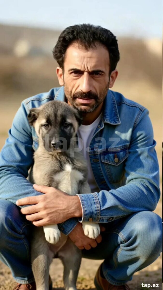 Kanqal (4)