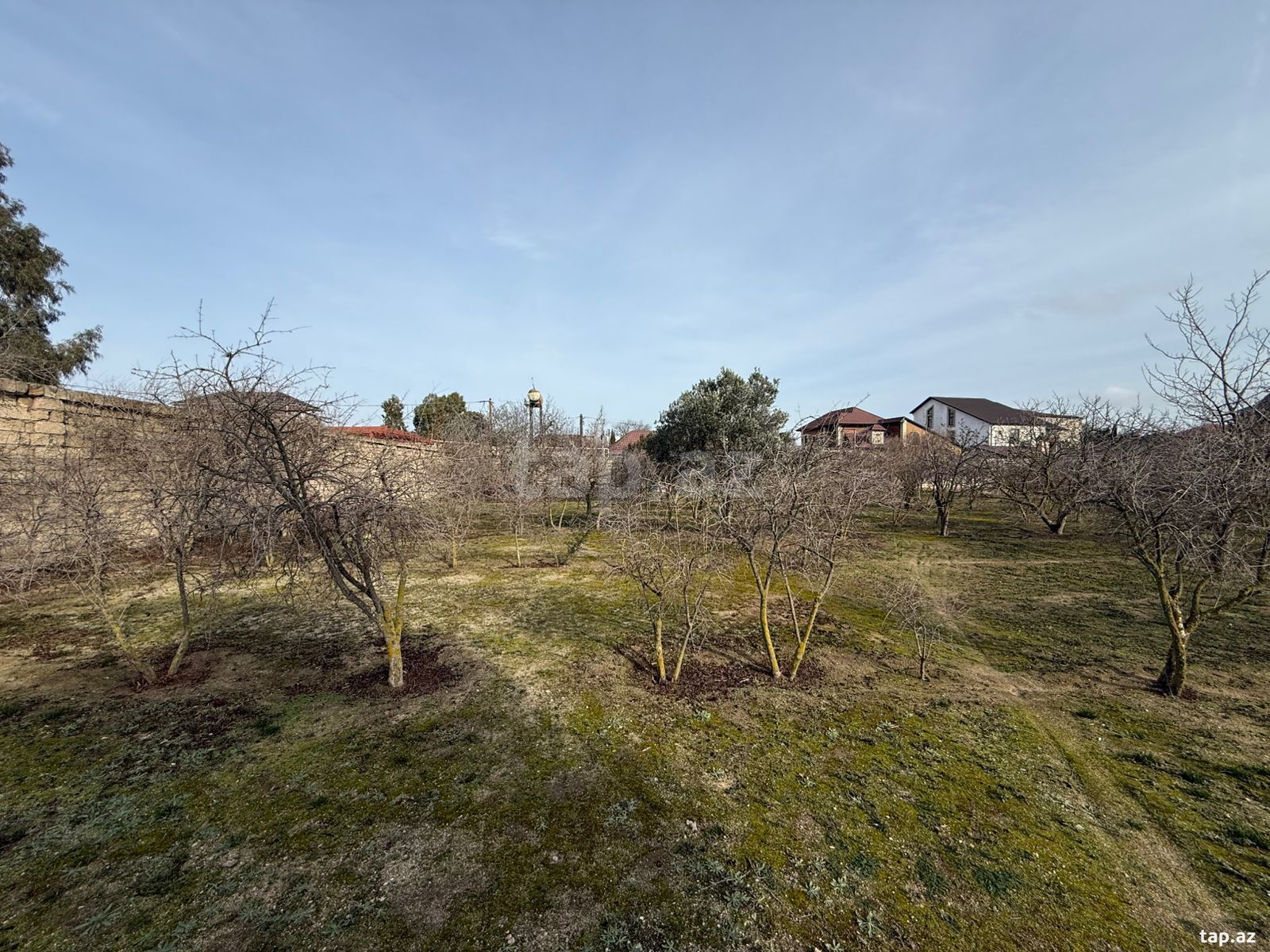 Torpaq satılır, Bakı