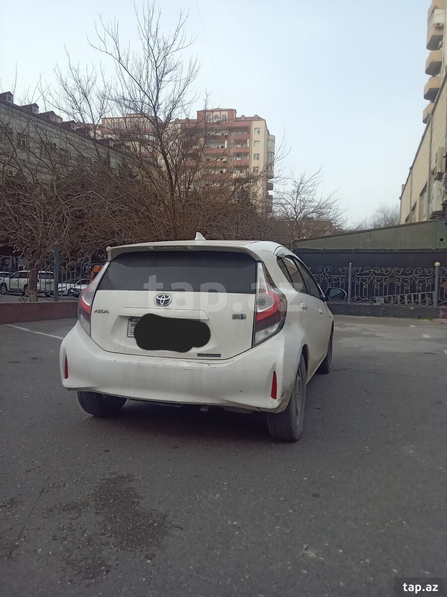 2-ci miniatür