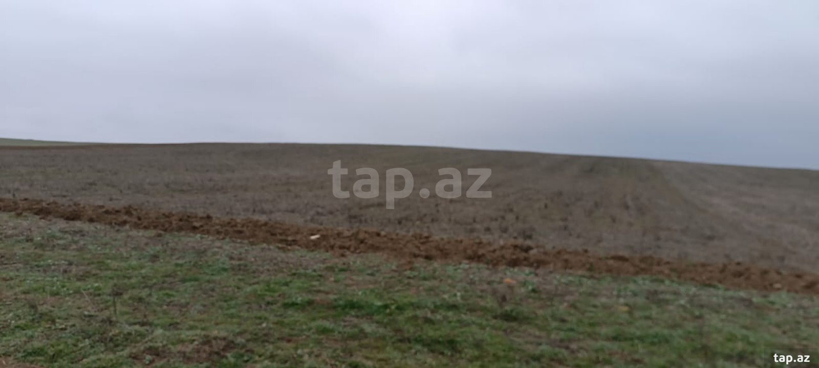 10000 sot torpaq sahəsi, Siyəzən r.