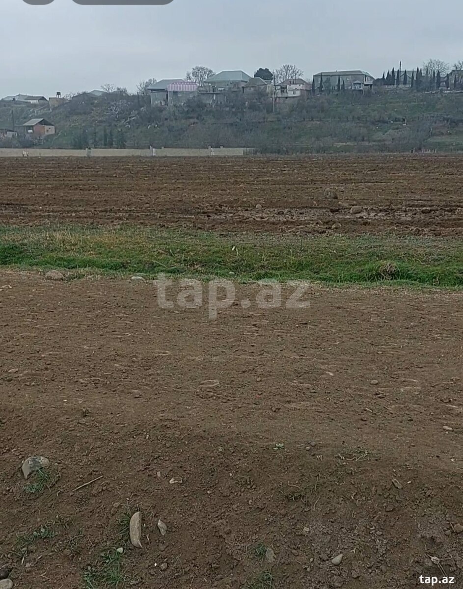 15 sot torpaq sahəsi, Gəncə ş. (3)