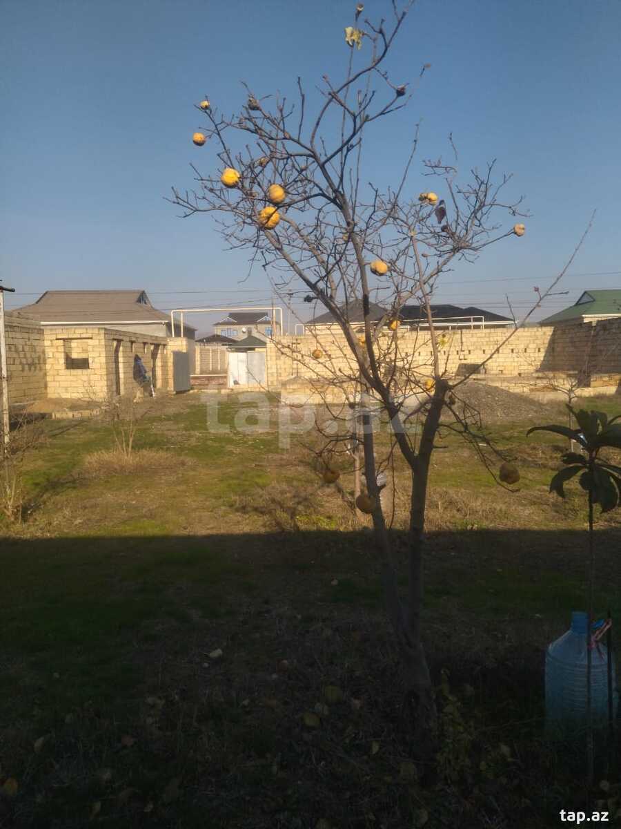 6 sot torpaq sahəsi, Şirvan ş.