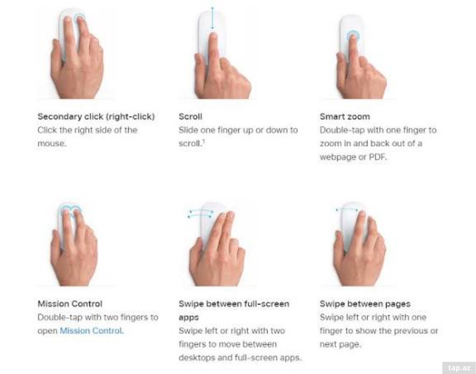 Magic Mouse (7)