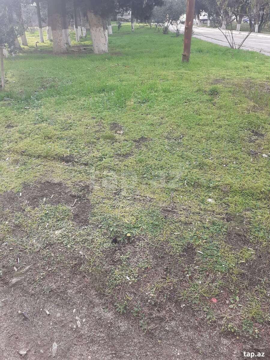 22 sot torpaq sahəsi, Füzuli r.