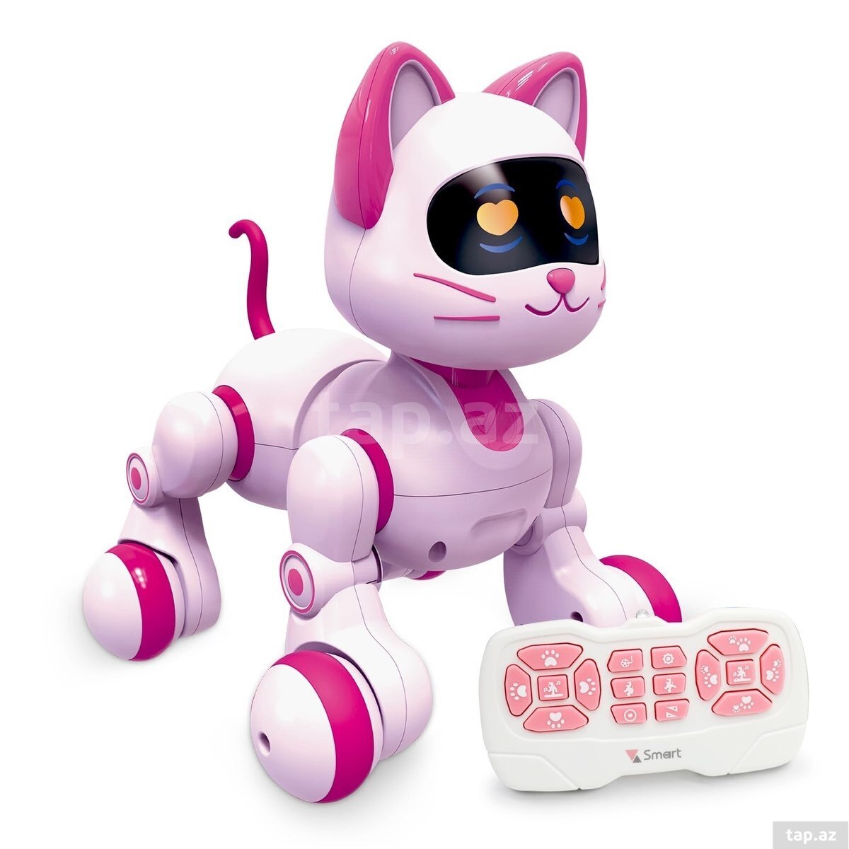 Oyuncaq robot pişik